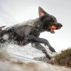 Camo MX5 Dog flottation device