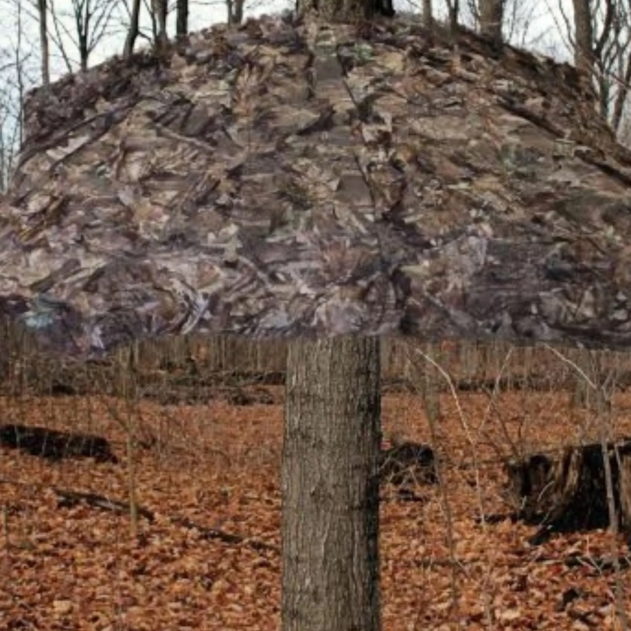 Deluxe umbrella & ground blind