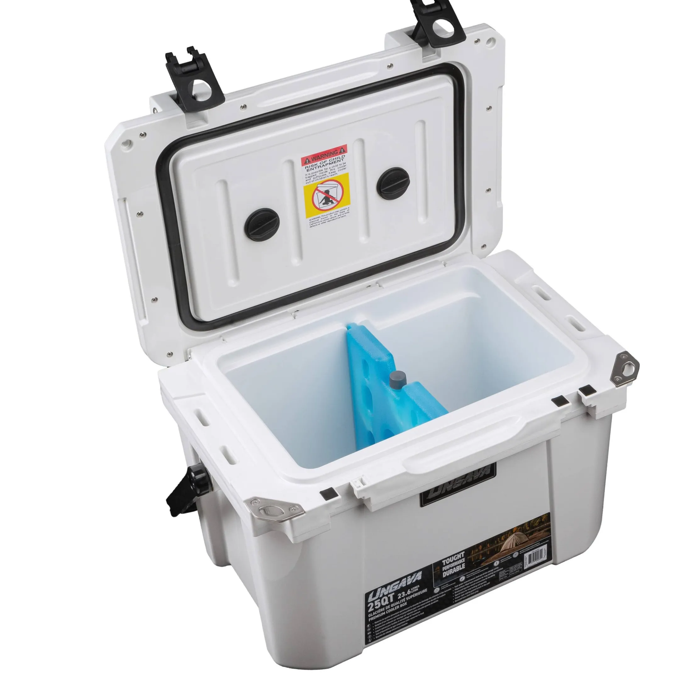 Ice-D Ice pack and cooler divider
