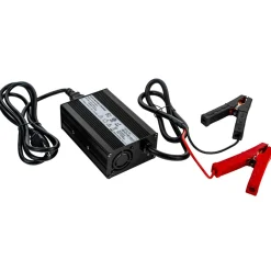 LiFePO4 Battery smart charger