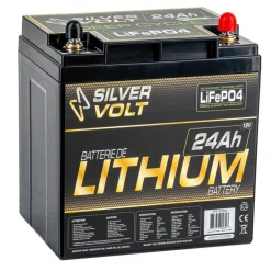 LiFePO4 Rechargeable Lithium battery - 12.8 V